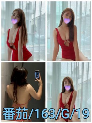 地區:台北外約<hr> 妹名:番茄<hr>  <span>上架時間: 2024/11/02<span>
