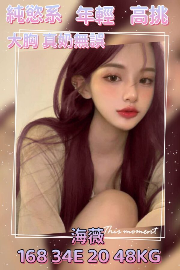 地區:台北松山區大奶妹兼職<hr> 妹名:海薇<hr>  <span>上架時間: 2025/07/05<span>